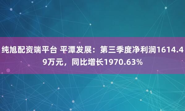 纯旭配资端平台 平潭发展：第三季度净利润1614.49万元，同比增长1970.63%