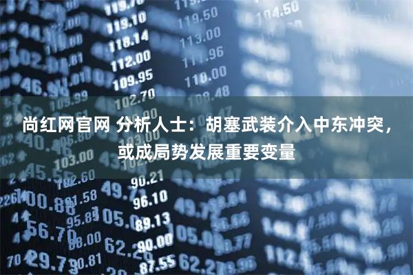 尚红网官网 分析人士:胡塞武装介入中东冲突,或成局势发展重要变量