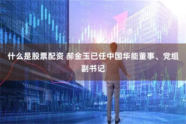 什么是股票配资 郝金玉已任中国华能董事、党组副书记