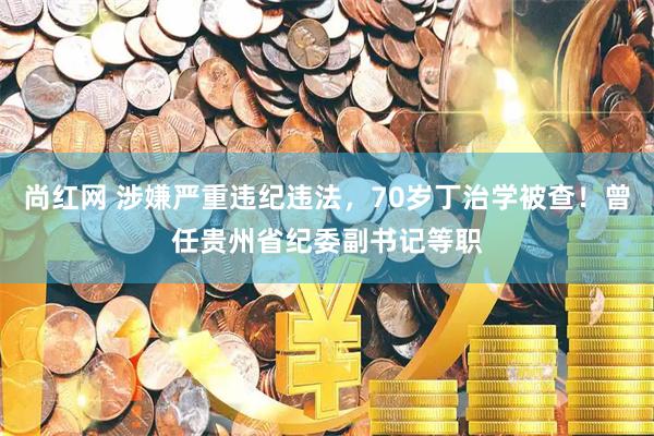 尚红网 涉嫌严重违纪违法，70岁丁治学被查！曾任贵州省纪委副书记等职